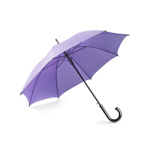 parasol-stick-5035