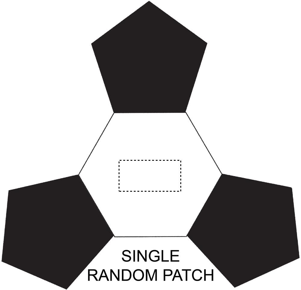 SINGLE RANDOM PATCH